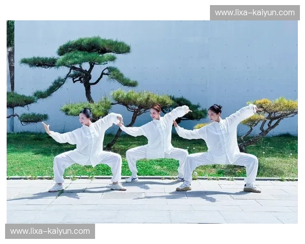 太极实战第一人?揭秘“韩飞龙vs”背后的武林真相:当古老传说撞上现代钢铁 太极实战第一人?揭秘“韩飞龙vs”背后的武林真相:当古老传说撞上现代钢铁